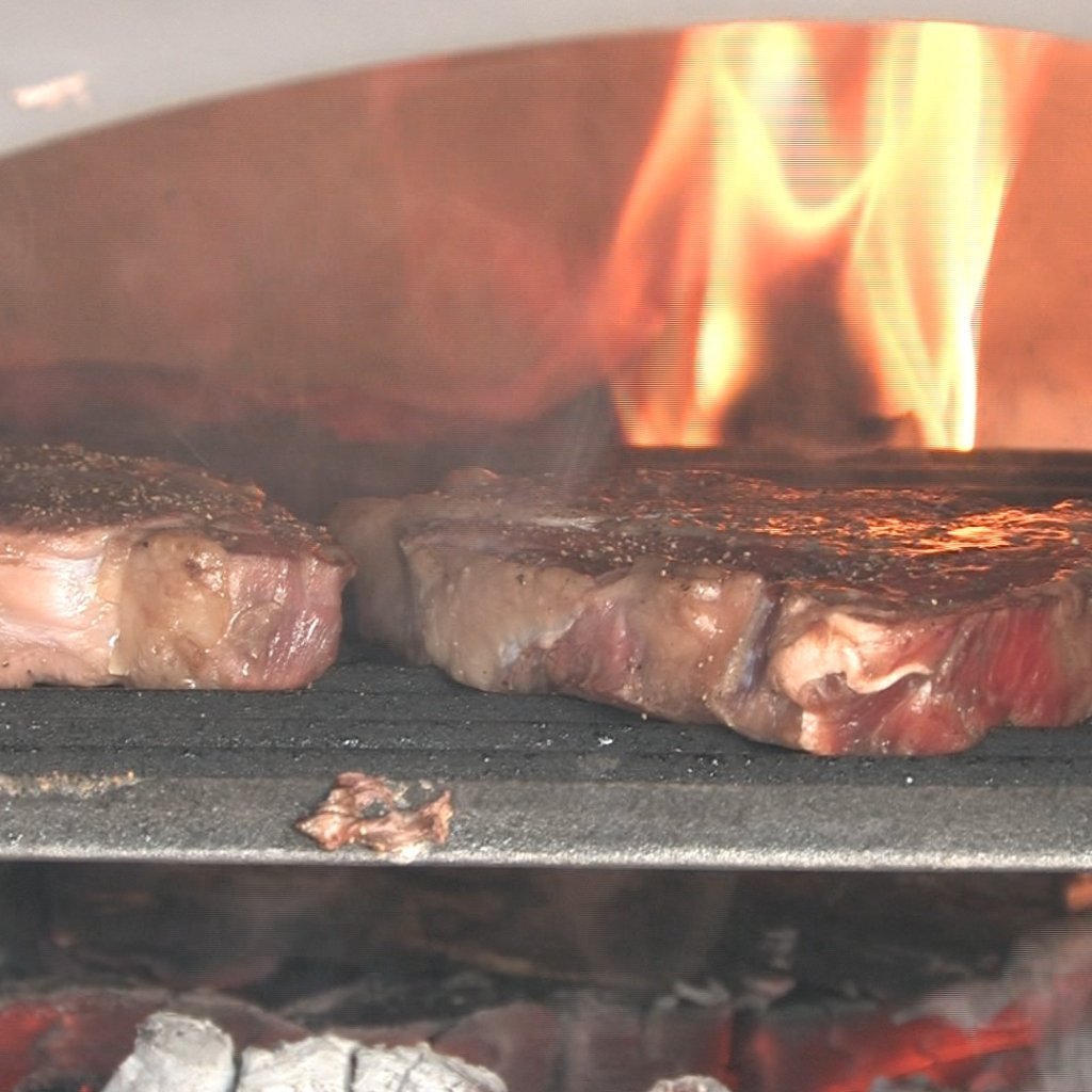 Chicago Brick Oven Residential Gas and Wood Pizza Oven With Stand