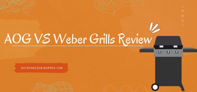 AOG VS Weber Grills Review