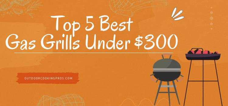 Top 5 Best Gas Grills Under 300 Review Outdoor Cooking Pros