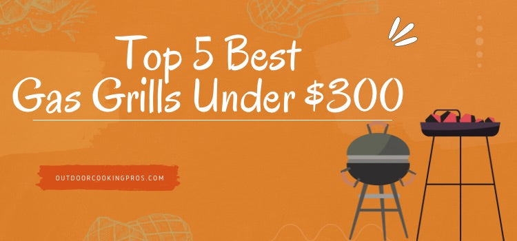 Top 5 Best Gas Grills Under $300 