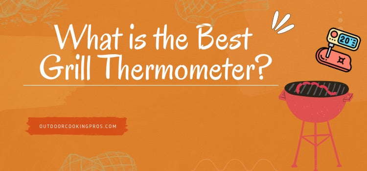 What is the Best Grill Thermometer?