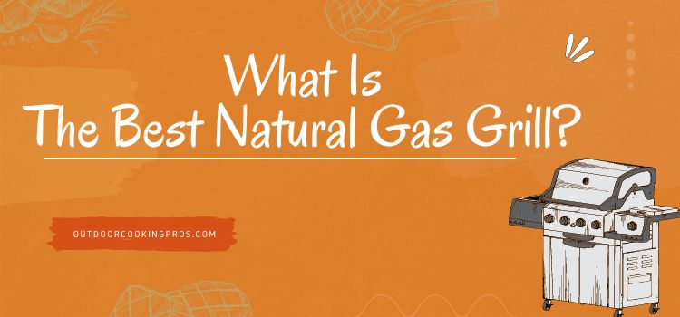 What Is The Best Natural Gas Grill? 