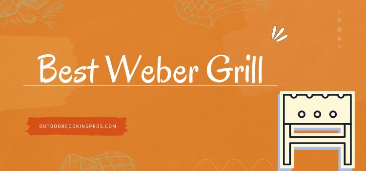 Best Weber Grill