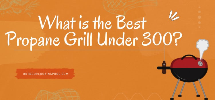 What is the Best Propane Grill Under 300?