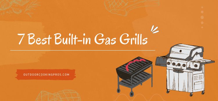 7 Best Built-in Gas Grills