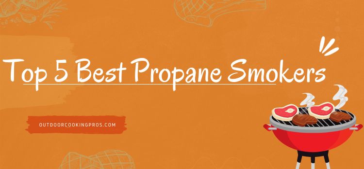 Top 5 Best Propane Smokers 