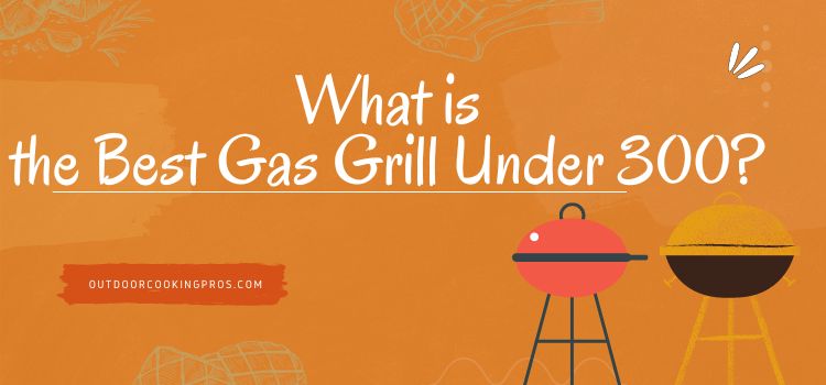 What is the Best Gas Grill Under 300? 