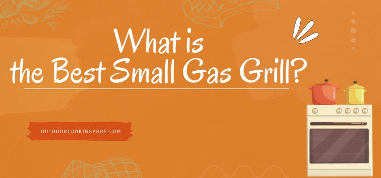 What is the Best Small Gas Grill? 