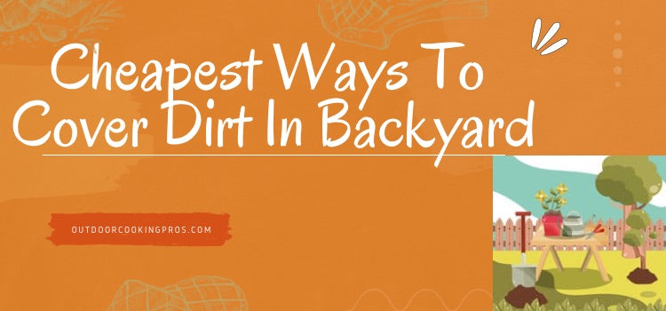 Cheapest Ways To Cover Dirt In Backyard