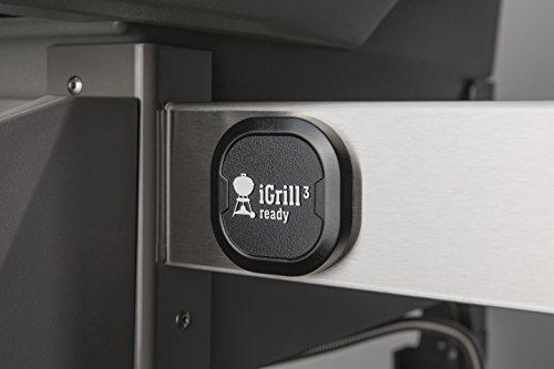 Weber 44010001 Spirit II E-210 2-Burner Liquid Propane Grill, Black