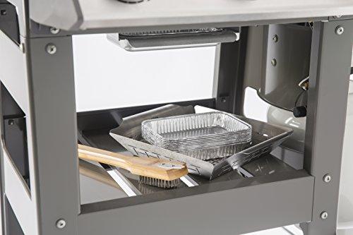 Weber 44010001 Spirit II E-210 2-Burner Liquid Propane Grill, Black