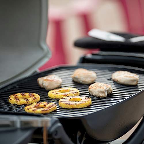 Weber 54060001 Q2200 Liquid Propane Grill