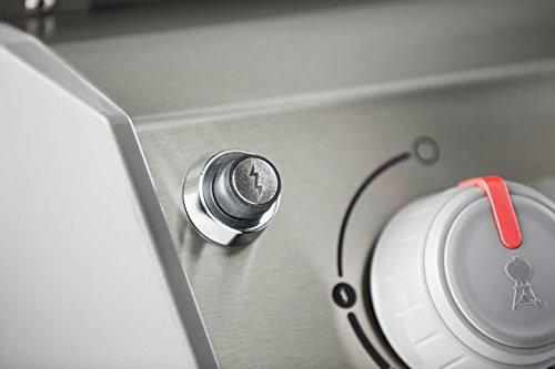 Weber 44010001 Spirit II E-210 2-Burner Liquid Propane Grill, Black