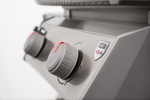 Weber 44010001 Spirit II E-210 2-Burner Liquid Propane Grill, Black