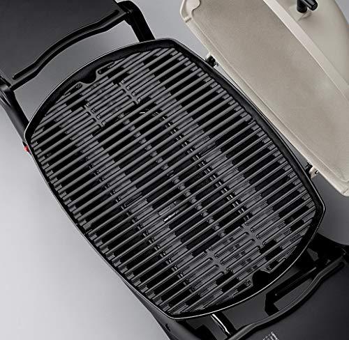 Weber 54060001 Q2200 Liquid Propane Grill