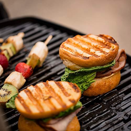 Weber 51060001 Q1200 Liquid Propane Grill,Titanium