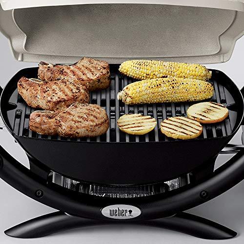 Weber 50060001 Q1000 Liquid Propane Grill,Chrome