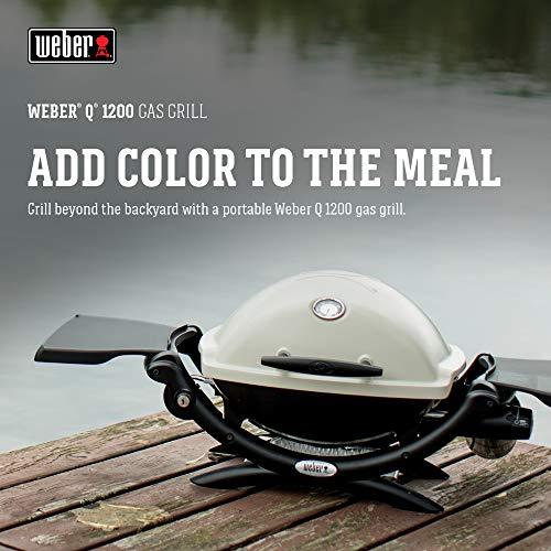 Weber 51060001 Q1200 Liquid Propane Grill,Titanium