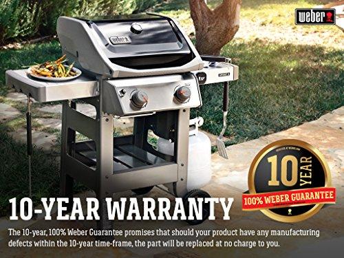 Weber 44010001 Spirit II E-210 2-Burner Liquid Propane Grill, Black