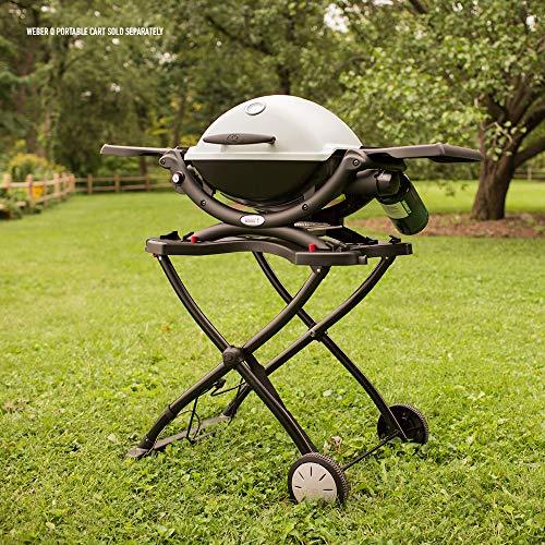 Weber 51060001 Q1200 Liquid Propane Grill,Titanium