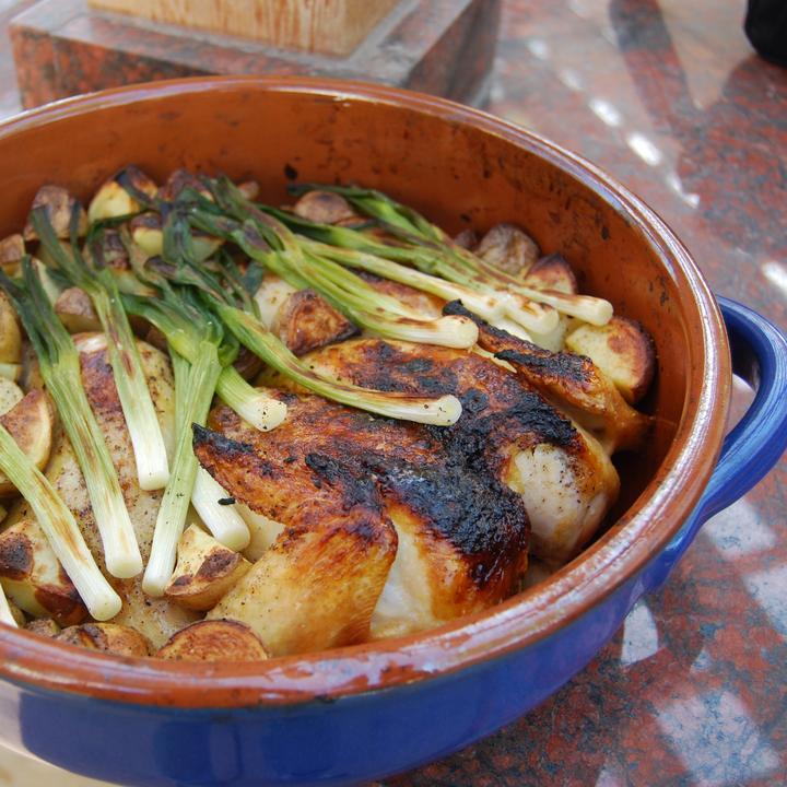 Chicago Brick Oven Duel Fuel Gas and Wood Fire Pizza Oven